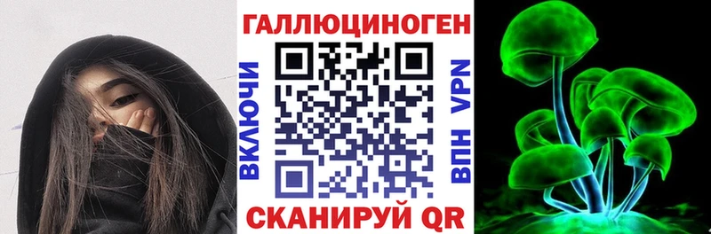 Купить  Кяхта  Галлюциногенные грибы Magic Shrooms 